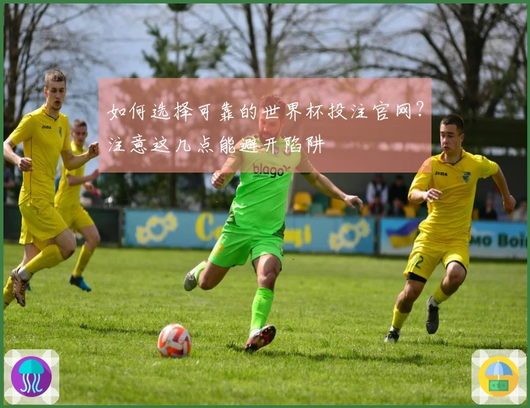 如何选择可靠的世界杯投注官网？注意这几点能避开陷阱