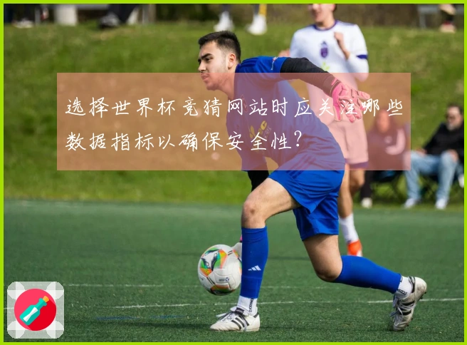 选择世界杯竞猜网站时应关注哪些数据指标以确保安全性？