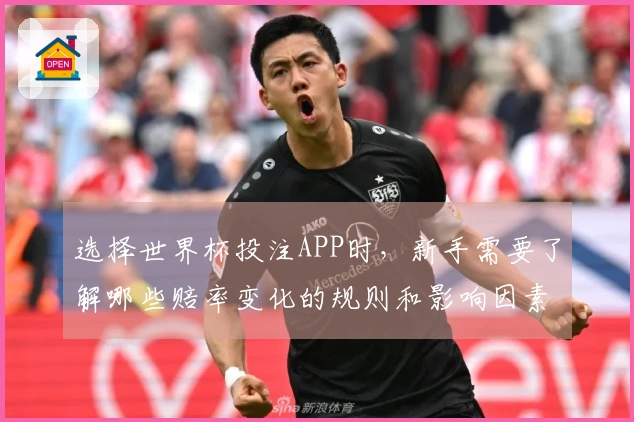 选择世界杯投注APP时，新手需要了解哪些赔率变化的规则和影响因素