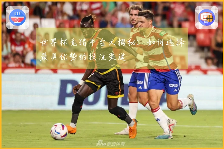 世界杯竞猜平台大揭秘：如何选择最具优势的投注渠道