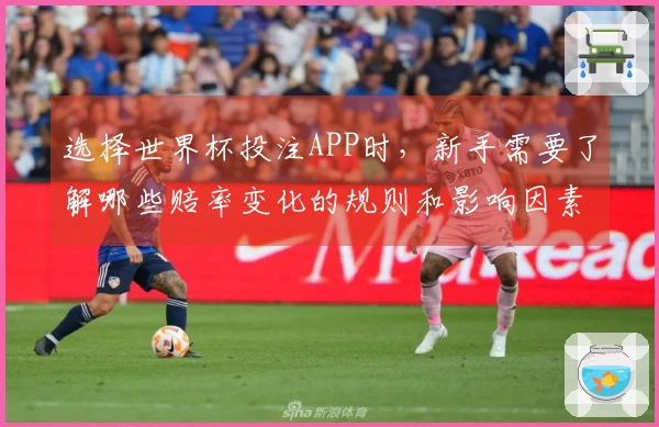 选择世界杯投注APP时，新手需要了解哪些赔率变化的规则和影响因素