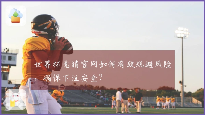 世界杯竞猜官网如何有效规避风险，确保下注安全？