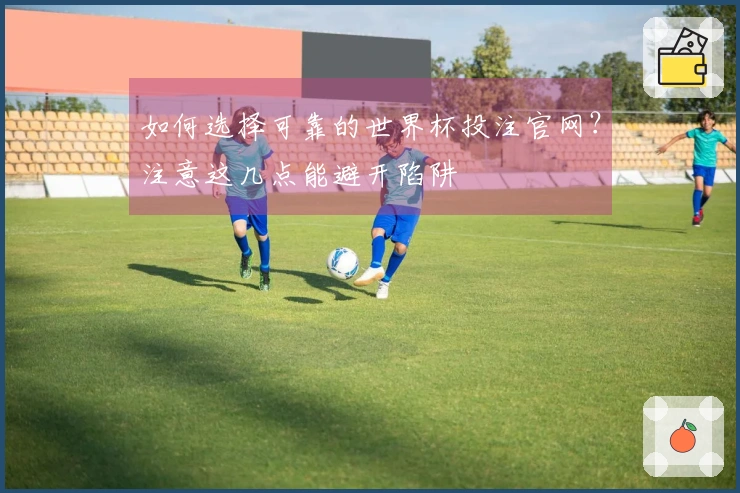 如何选择可靠的世界杯投注官网？注意这几点能避开陷阱
