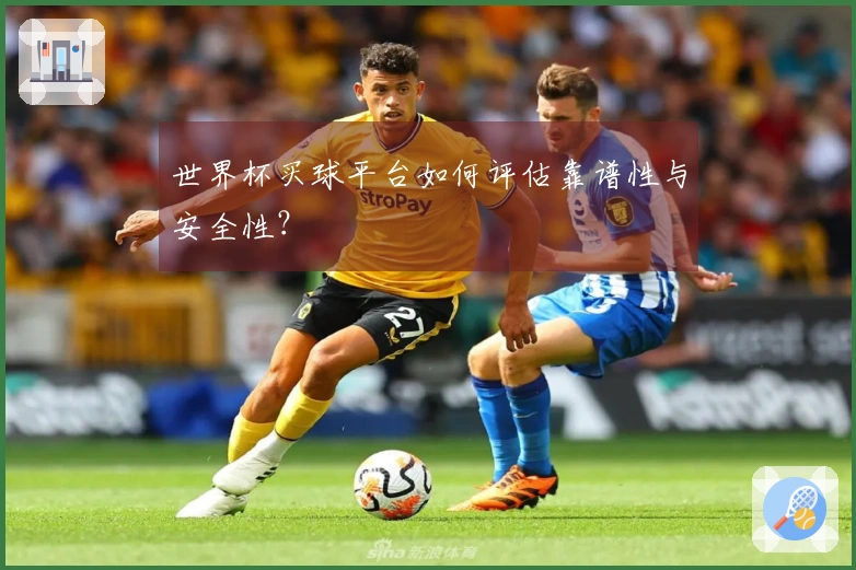 世界杯买球平台如何评估靠谱性与安全性？