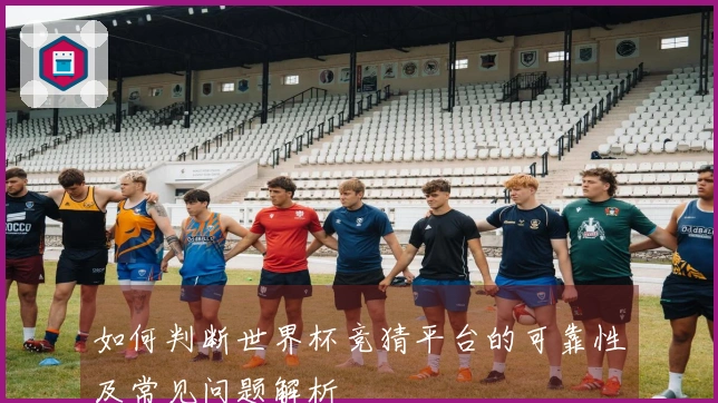 如何判断世界杯竞猜平台的可靠性及常见问题解析